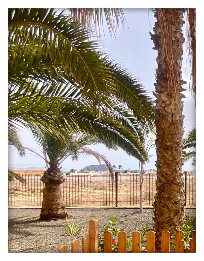 Tamarindo Pura Vida - Relax Y Vistas Al Mar Daire Corralejo Dış mekan fotoğraf