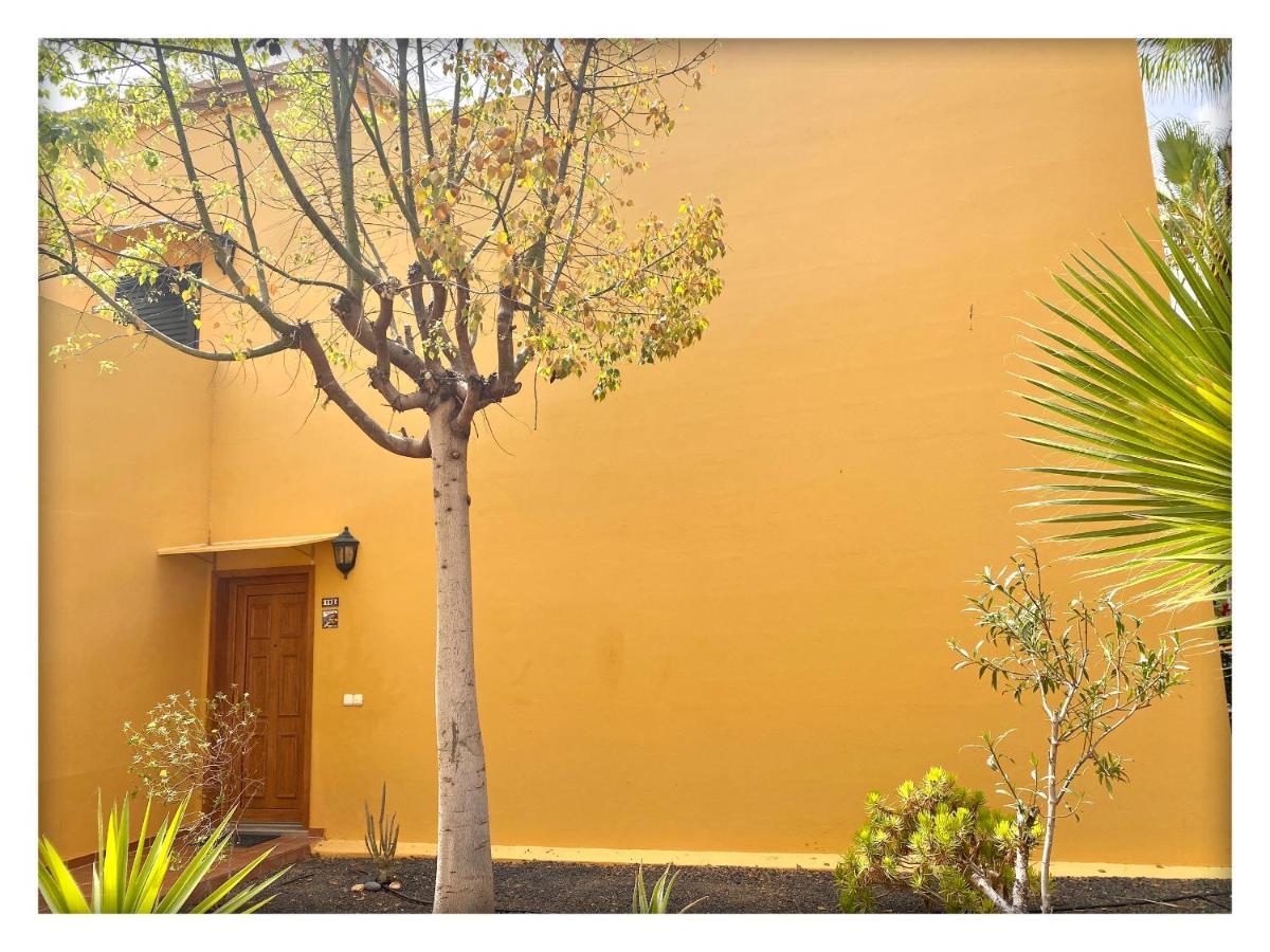 Tamarindo Pura Vida - Relax Y Vistas Al Mar Daire Corralejo Dış mekan fotoğraf